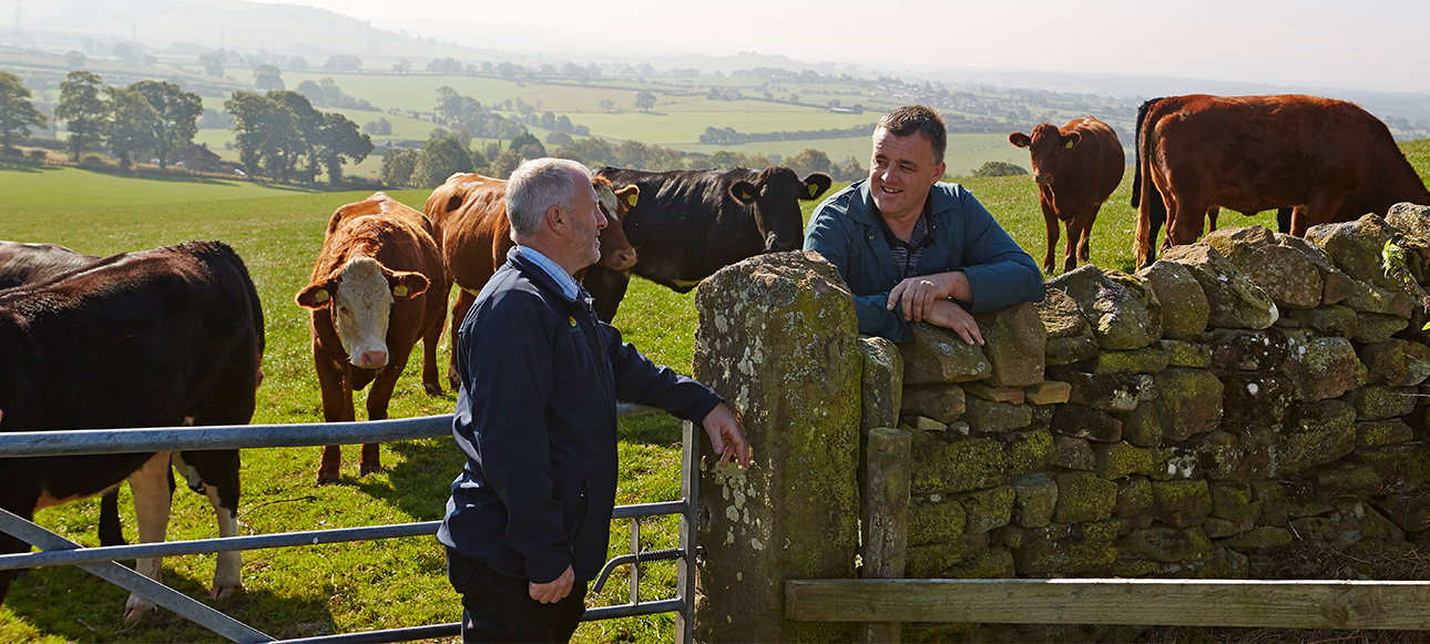 Our Farmers - Morrisons Farming