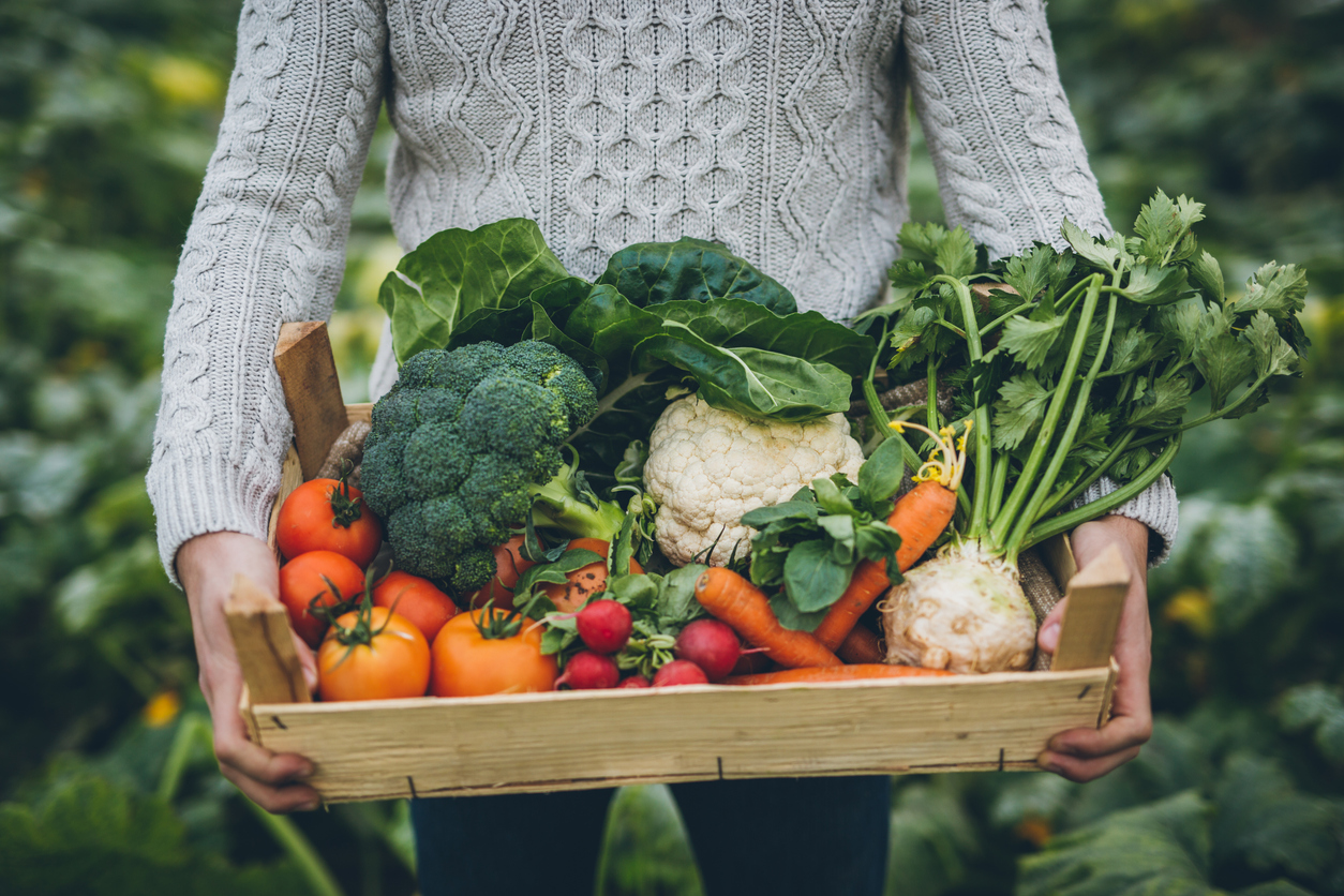 Vegetables - Morrisons Farming