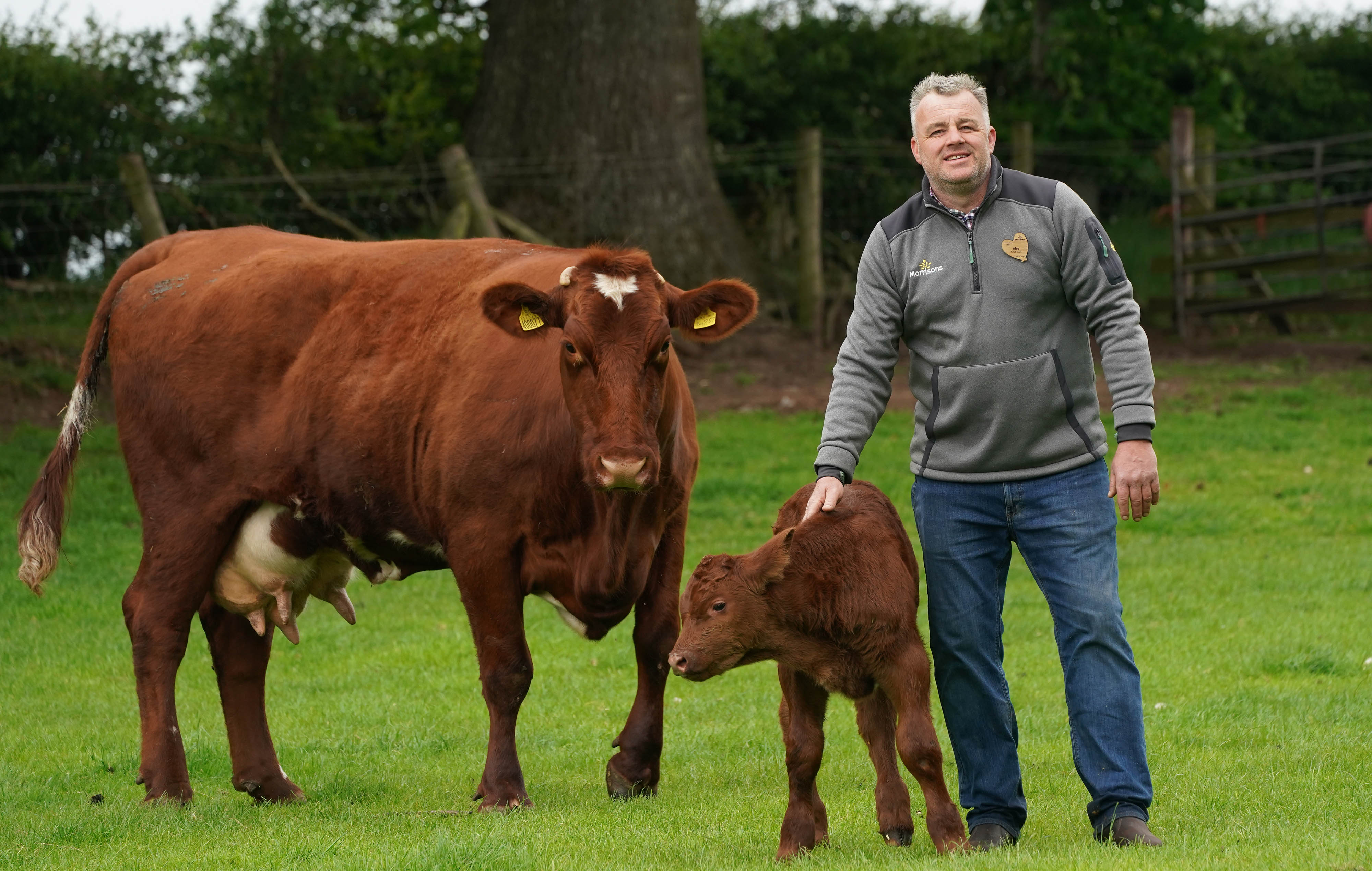 Environmental Sustainability - Morrisons Farming